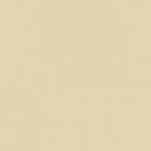 Poly-Fusion Color (Light Tan)